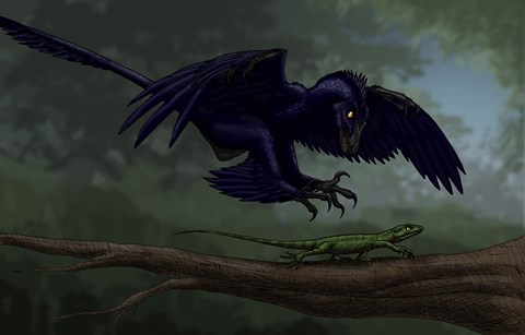 Framed Microraptor Hunting a Small Lizard on a Tree Branch Print