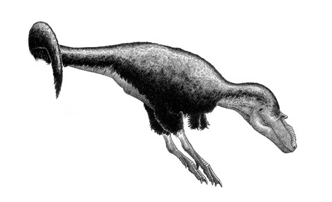 Framed Black Ink Drawing of Gorgosaurus Libratus Print