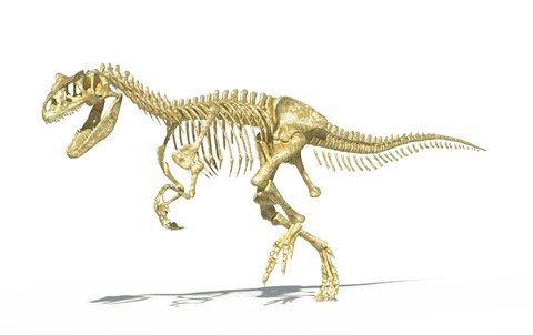 Framed 3D Rendering of an Allosaurus Dinosaur Skeleton Print