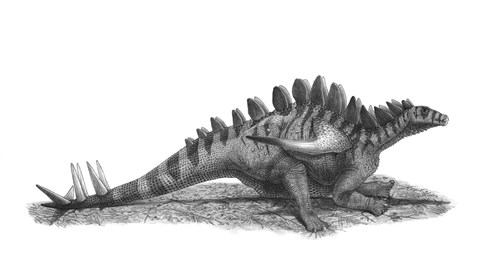 Framed Pencil Drawing of Gigantspinosaurus Sichuanensis Print