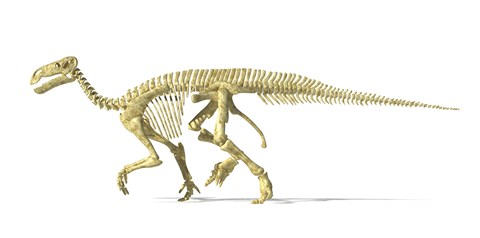 Framed 3D Rendering of an Lguanodon Dinosaur Skeleton Print