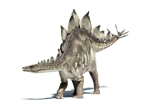 Framed 3D Rendering of a Stegosaurus Dinosaur Print