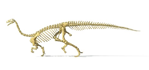 Framed 3D Rendering of a Plateosaurus Print