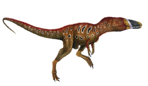 Framed Watercolor Painting of Xiongguanlong Baimoensis Print