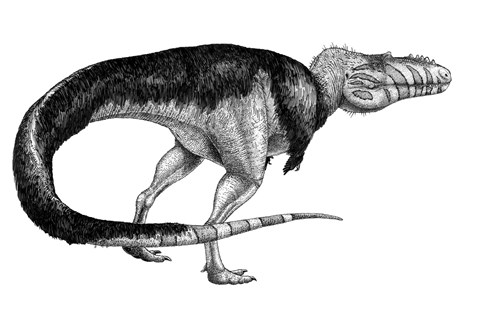 Framed Black Ink Drawing of Alioramus Remotus Print