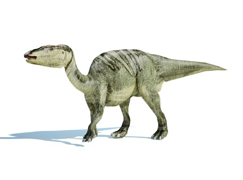 Framed 3D Rendering of an Edmontosaurus Dinosaur Print