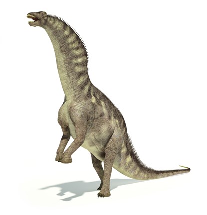 Framed Amargasaurus Dinosaur in Dynamic Posture Print