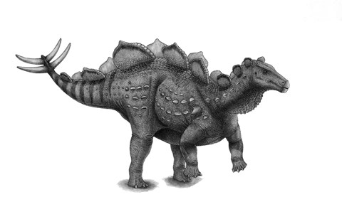 Framed Pencil Drawing of Wuerhosaurus Homheni Standing on its Hind Legs Print