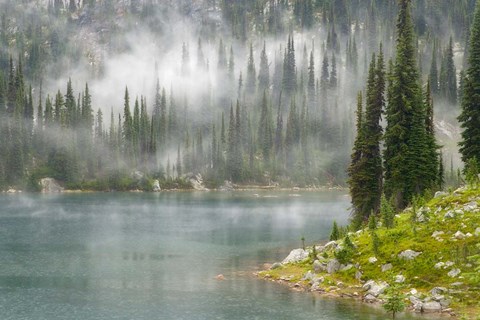 Framed Fog and Rain on Lake Eva, Revelstoke National Park, British Columbia, Canada Print