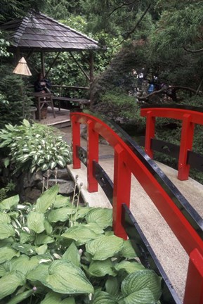 Framed Japanese Garden at Butchart Gardens, Vancouver Island, British Columbia, Canada Print
