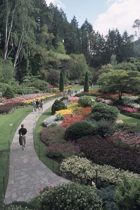 Framed Sunken Garden at Butchart Gardens, Vancouver Island, British Columbia, Canada Print