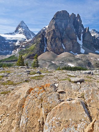 Framed Scenic of Mt Assiniboine and Wedgwood Peak, BC, Canada Print
