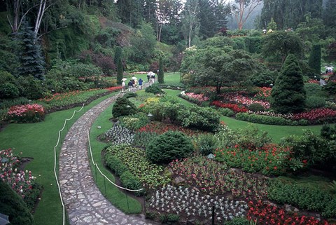 Framed Butchart Gardens, Vancouver Island, British Columbia, Canada Print