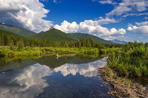 Framed Beaver pond along the Flathead River near Fernie, British Columbia, Canada Print