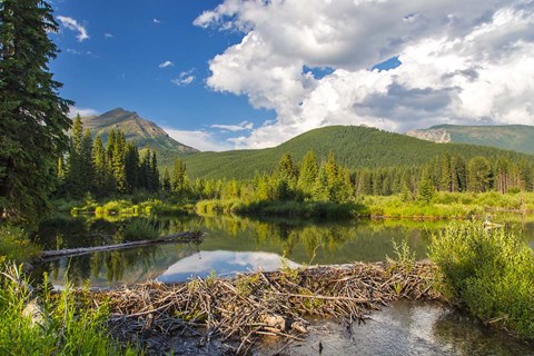 Framed Flathead River, British Columbia, Canada Print