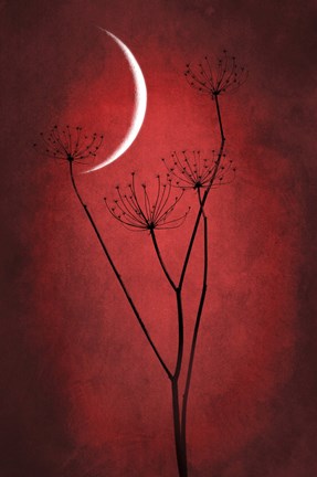 Framed Red Crescent Moon Print