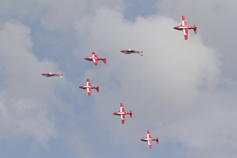 Framed Snowbirds of the Royal Canadian Air Force Print