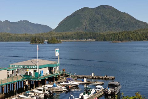 Framed Harbor, Meares Island, Vancouver Island, British Columbia Print