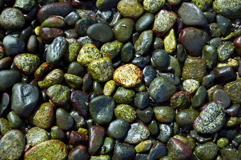 Framed Patterns, Rebecca Spit, Quadra Isl, British Columbia Print