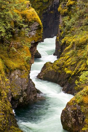 Framed River, Vancouver Island, British Columbia Print