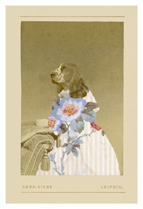 Framed Constance Print