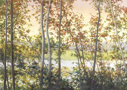 Framed Autumn Shady Print