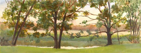 Framed Mill Stream Willows Print