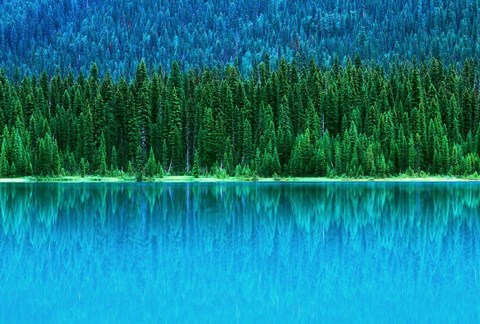 Framed Emerald Lake Boathouse, Yoho National Park, British Columbia, Canada (horizontal) Print