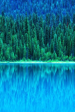 Framed Emerald Lake Boathouse, Yoho National Park, British Columbia, Canada (vertical) Print