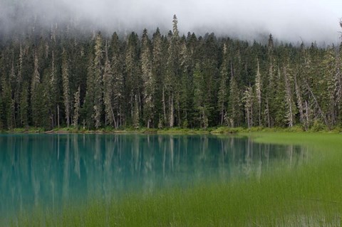 Framed Blue glacial lake, evergreen forest, British Columbia Print