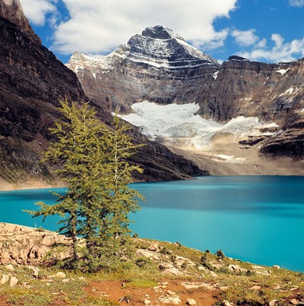 Framed British Columbia, Yoho NP Lake McArthur Print