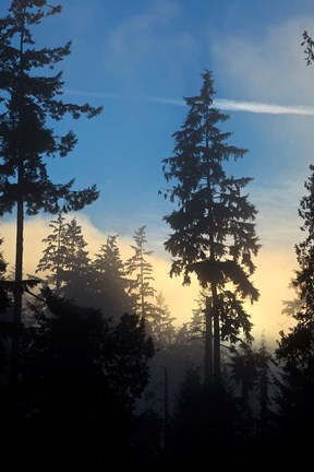 Framed Stanley Park, Vancouver, British Columbia, Canada Print