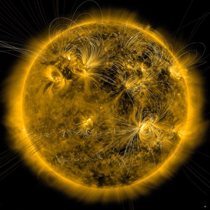 Framed Magnetic Field lines on the Sun Print