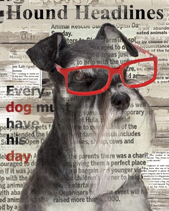 Framed Hound Headline Print