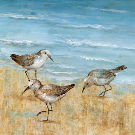 Framed Sandpipers II Print