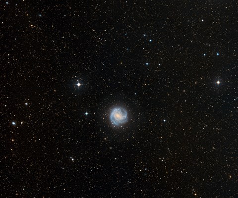 Framed Southern Pinwheel Galaxy Print