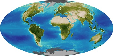 Framed Average Plant Growth of the Earth Print