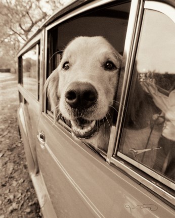 Framed Are we there Yet? Print