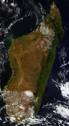 Framed Madagascar Print