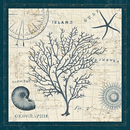 Framed Ocean Life IV Print