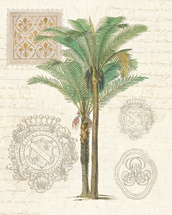Framed Vintage Palm Study II Print