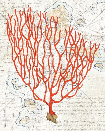 Framed Textured Coral IV Print