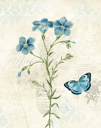 Framed Booked Blue III Print