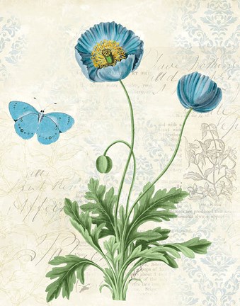 Framed Booked Blue IV Print