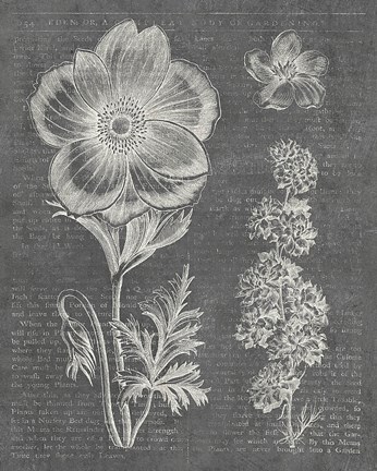 Framed Eden Spring I Gray Print