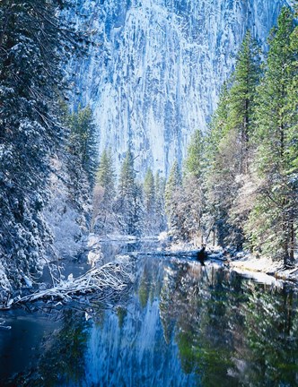 Framed Winter trees along Merced River, Yosemite Valley, Yosemite National Park, California Print