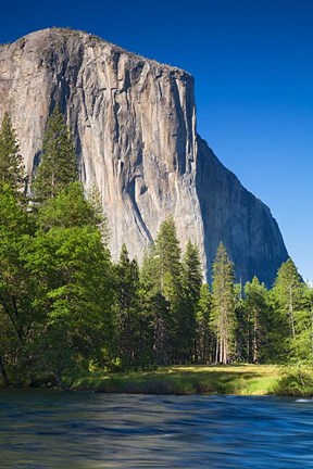 Framed El Capitan and Merced River Yosemite NP, CA Print