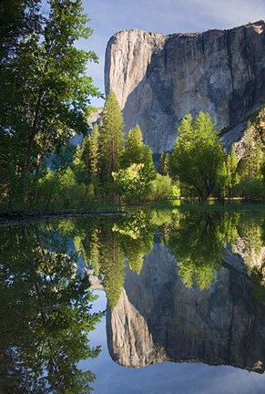 Framed El Capitan reflected in Merced River Yosemite NP, CA Print