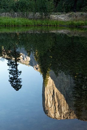 Framed Reflection of El Capitan in Mercede River, Yosemite National Park, California - Vertical Print