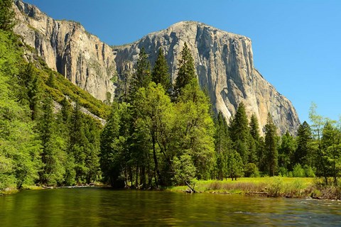 Framed Merced River on the Valley Floor, Yosemite NP, California Print